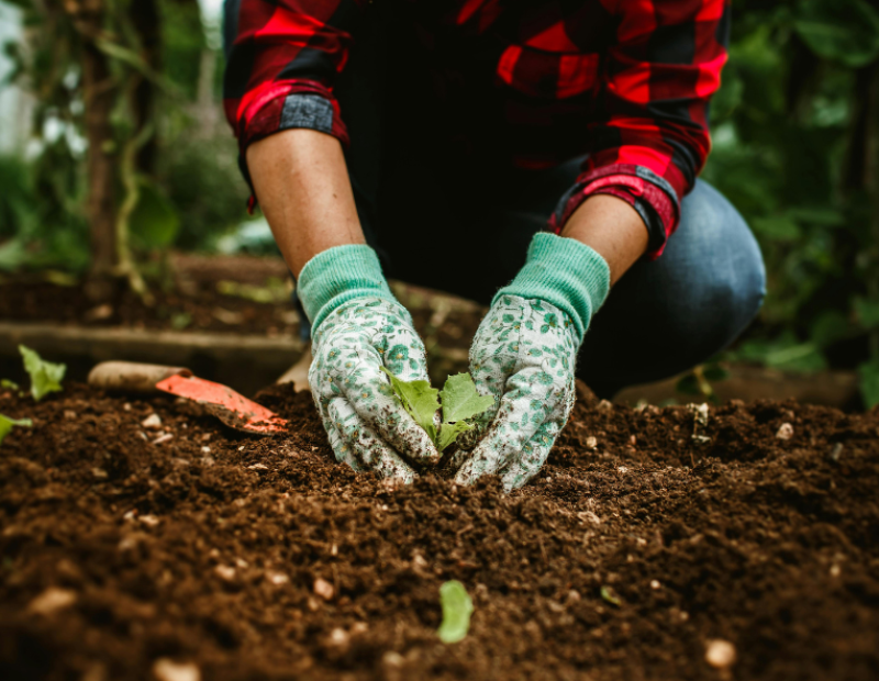 tendenze-gastronomia-ecole-ducasse