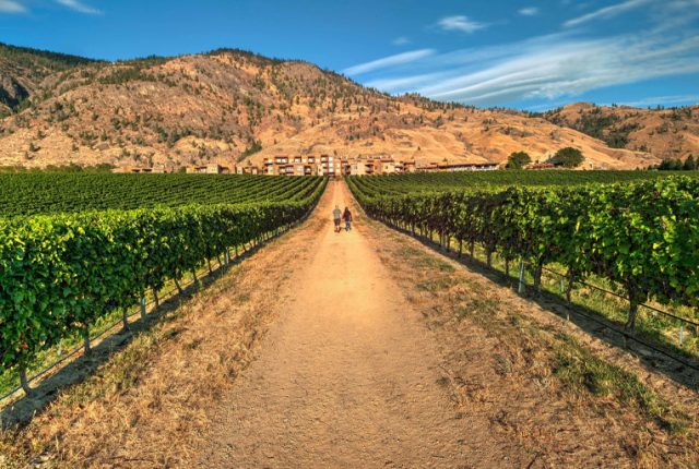 turismo enogastronomico nella Okanagan Valley