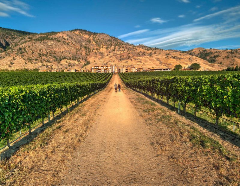 turismo enogastronomico nella Okanagan Valley