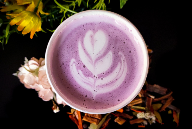 ube-cos-e-viola-caffe