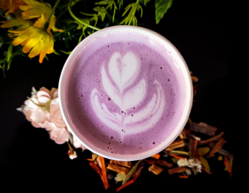 ube-cos-e-viola-caffe