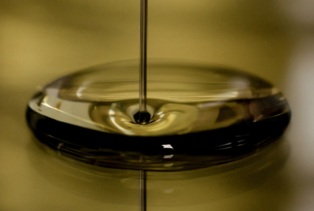 umbria-progetto-polifenoli-olio-extravergine