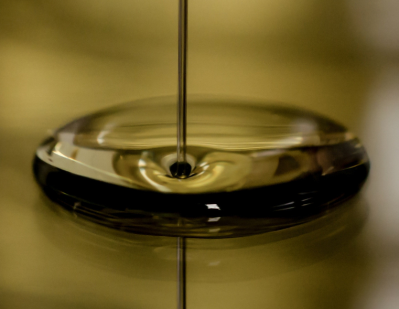 umbria-progetto-polifenoli-olio-extravergine