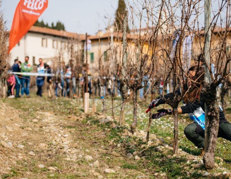 Festival del Potatore