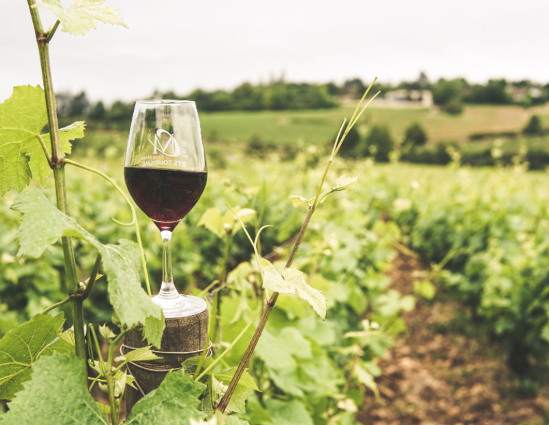 vino-biodiversita-luigi-fiorentino