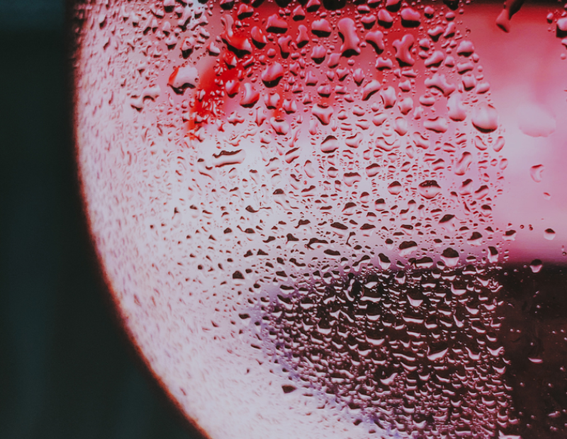vino-rosso-freddo-estate-gen-z-come-servirlo