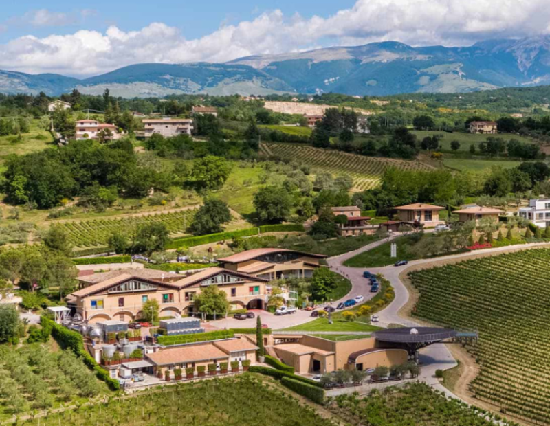 zaccagnini-larte-del-vino