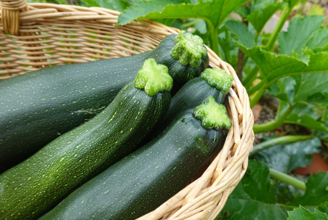 zucchine-si-possono-mangiare-crude