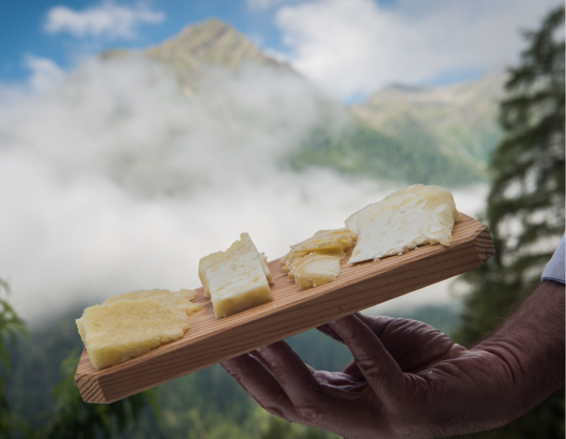 formaggio